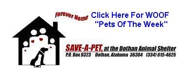 Save a Pet facebook link