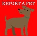 Report A Pet